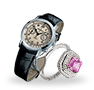 Accessories & Equipment